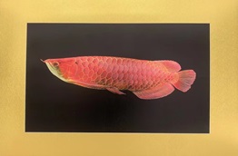 铜浮雕的分类和特点